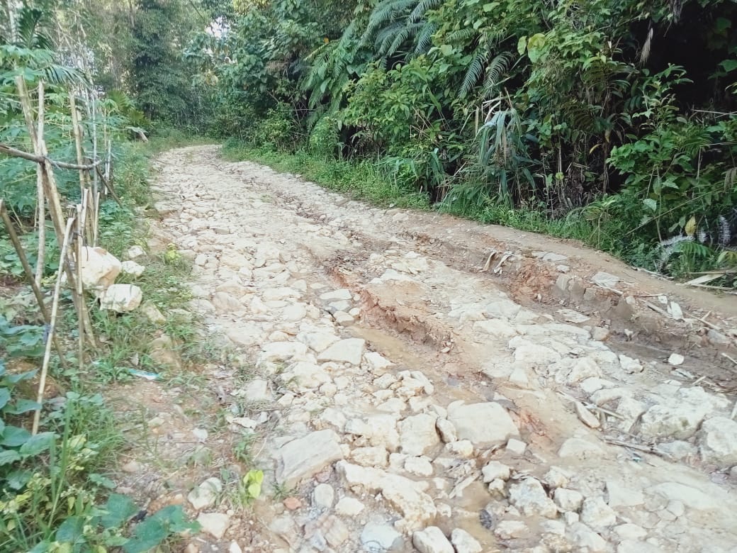 IMG-20220524-WA0743