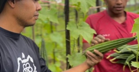 IMG-20260123-WA0005-768x715