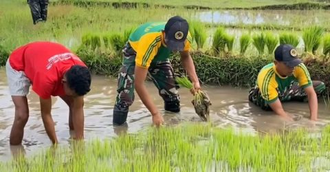 IMG-20260123-WA0006-1-768x432